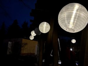 IMG_6401