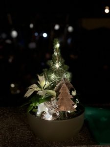 IMG_6420